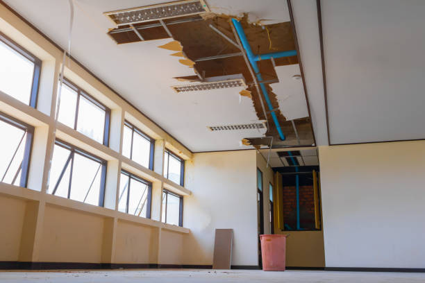 Best Water damage contractors near me  in Dublin, OH