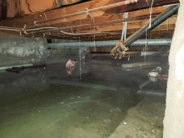 Reliable Dublin, OH Water damage restoration Solutions