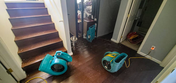Best Commercial water damage restoration  in Dublin, OH