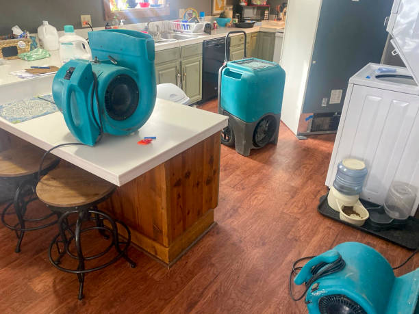 Best Water damage restoration cost  in Dublin, OH