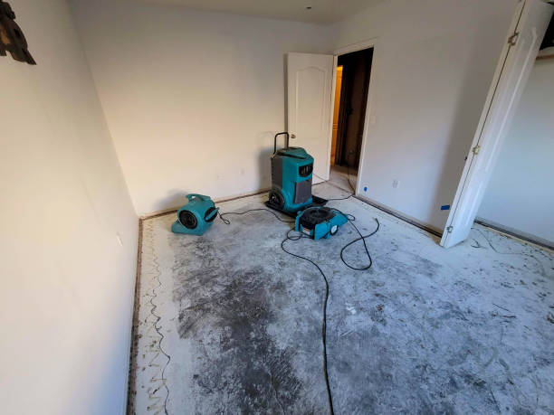 Best Water damage restoration experts  in Dublin, OH