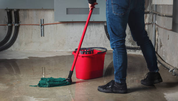 Best Flood restoration services  in Dublin, OH