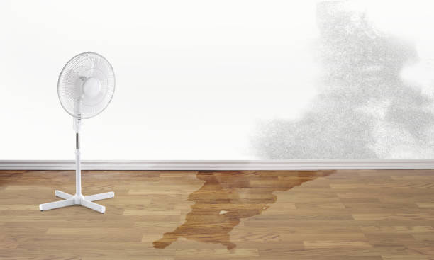 Best Professional water damage repair  in Dublin, OH