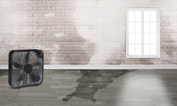 Best Emergency water damage restoration  in Dublin, OH