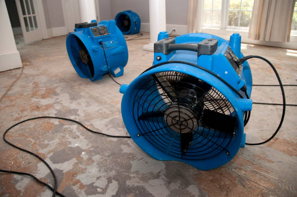 Best Water damage restoration near me  in Dublin, OH