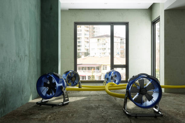 Best 24/7 water damage repair  in Dublin, OH